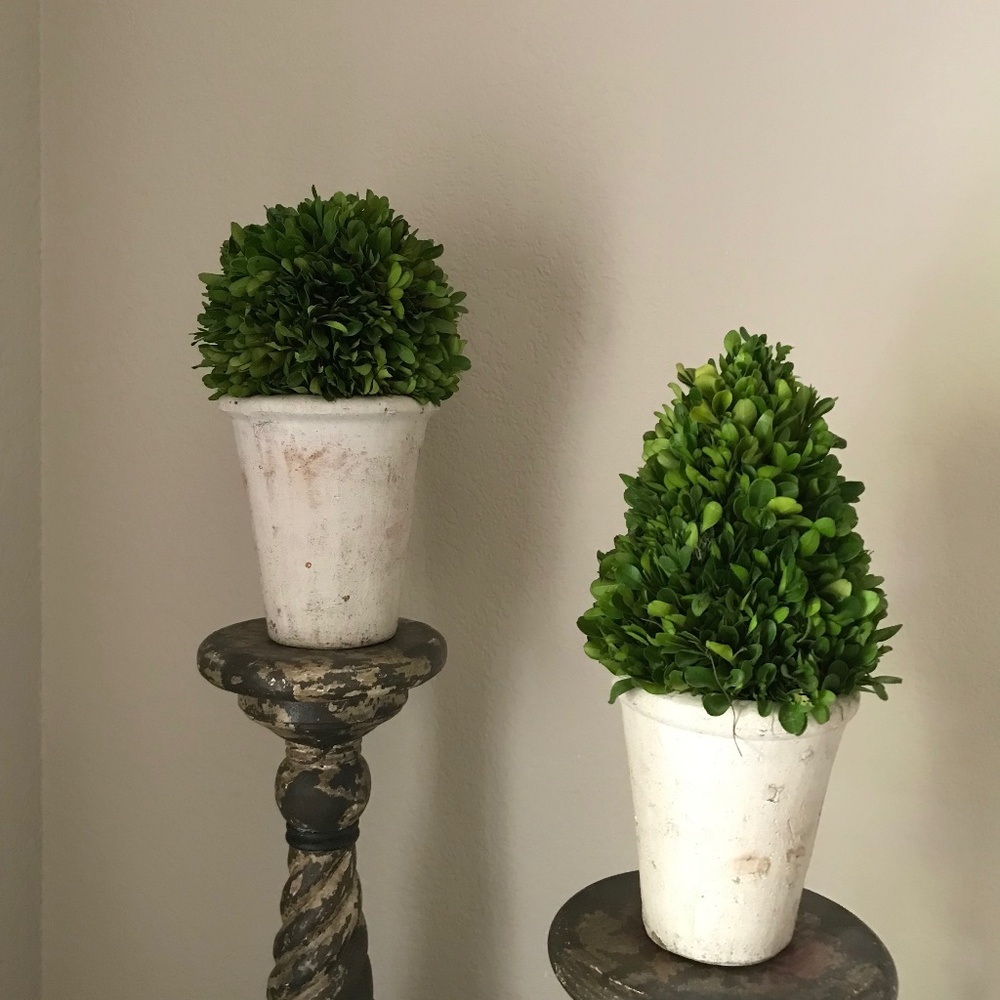 Faux Boxwood decor (2)